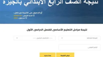 ظهرت رسمياً في الجيزة الآن.. رابط نتائج الصف الرابع الابتدائي 2025 للفصل الدراسي الثاني في جميع المحافظات.