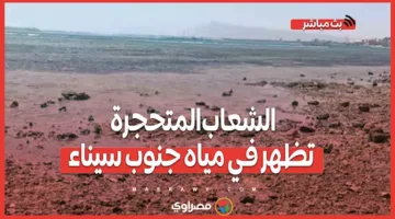 ظهور الشعب المتحجرة في مياه جنوب سيناء نتيجة للجذور
