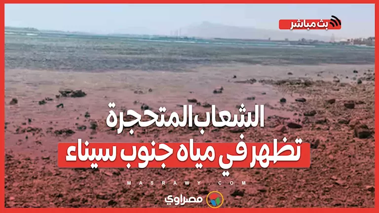 ظهور الشعب المتحجرة في مياه جنوب سيناء نتيجة للجذور