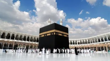 عاجل | قواعد جديدة لرحلات العمرة: الإقامة قريبة من الحرمين وسيارات حديثة مع 5 مشرفين