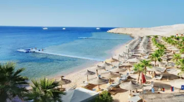 عاجل – لبنانيون عالقون في شرم الشيخ: نرغب في العودة… نواجه ظروفاً صعبة
