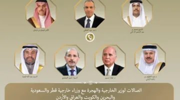 عبد العاطي ووزراء خارجية ست دول عربية يناقشون المستجدات السريعة في المنطقة