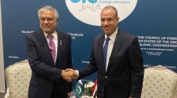 عبد العاطي يثني على تقدم العلاقات بين مصر وباكستان