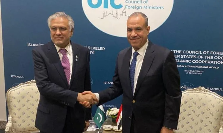 عبد العاطي يثني على تقدم العلاقات بين مصر وباكستان عبد العاطي يثني على تقدم العلاقات بين مصر وباكستان