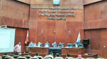 عرض 10 متاجر وصيدلية للبيع في مزاد علني بمدينة بدر