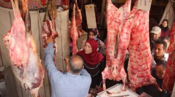«عروض مميزة».. أسعار اللحوم في نقاط البيع خلال عيد الأضحى