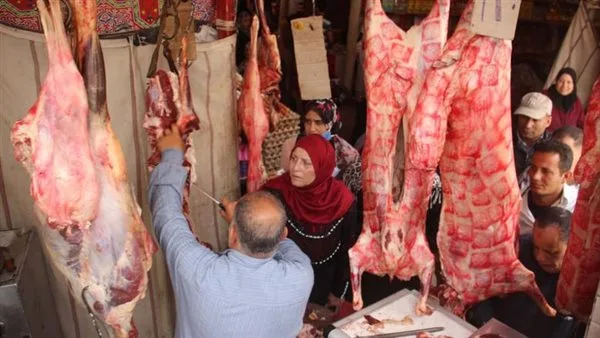 «عروض مميزة».. أسعار اللحوم في نقاط البيع خلال عيد الأضحى «عروض مميزة».. أسعار اللحوم في نقاط البيع خلال عيد الأضحى