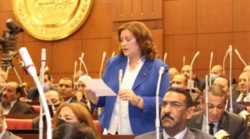 النائبة عايدة نصيف: استخدام اسم مصر لتشويه دورها في القضية الفلسطينية محاولات غير ناجحة، والعالم يشهد جهودها الواضحة.