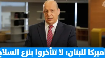 علي حمادة: شركات تحويل الأموال تخصص 500 مليون دولار لانتخابات 2026