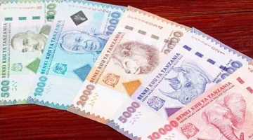 عملة تنزانيا تتحول من الضعف إلى القوة على الساحة العالمية.. ما الذي حدث للشلن التنزاني؟