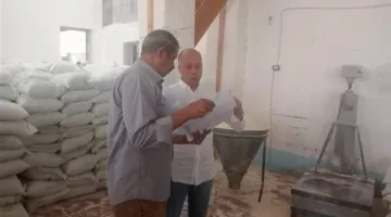 عمليات تفتيشية على المطاحن في الإسكندرية