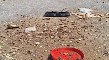 غرامة 2000 درهم لرمي النفايات خارج الحاويات