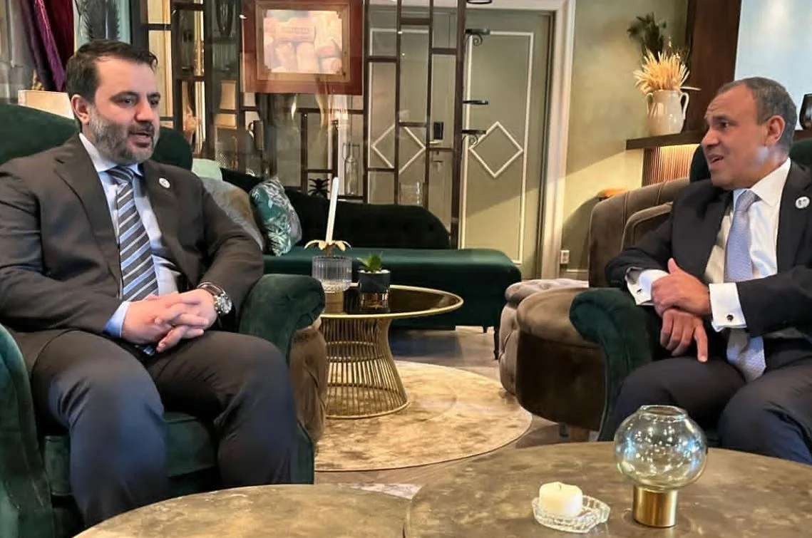 وزير الخارجية: مصر تؤازر الشعب السوري العزيز