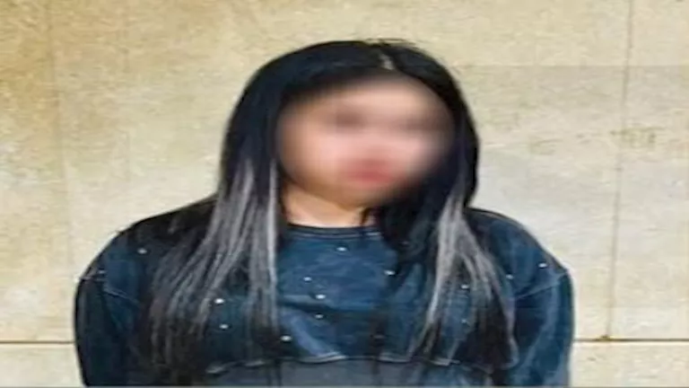 “فتاة ومعاناة الإهمال الأسري”.. محامي “نور تفاحة” يكشف تفاصيل جديدة في التحقيقات “فتاة ومعاناة الإهمال الأسري”.. محامي “نور تفاحة” يكشف تفاصيل جديدة في التحقيقات