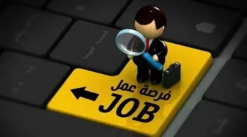 فرصة عمل رائعة في بنك المشرق: “المعلومات وطريقة التقديم”