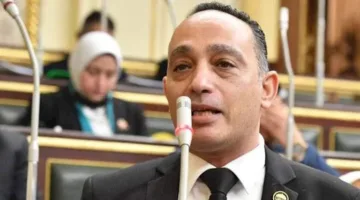 فريدي البياضي: من الضروري تأجيل قانون الإيجارات القديمة