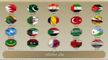 في الصدارة الإمارات.. 20 دولة ترفض التصعيد الإسرائيلي تجاه إيران