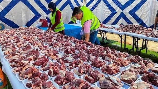 في اليوم الثاني للعيد.. “تضامن قنا” تواصل ذبح الأضاحي وتوزيعها على المستحقين. في اليوم الثاني للعيد.. “تضامن قنا” تواصل ذبح الأضاحي وتوزيعها على المستحقين.