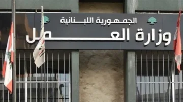 في اليوم العالمي لمناهضة عمل الأطفال: تصريح من وزارة العمل