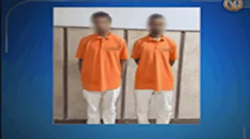 فيديو مروع يظهر حبس كلاب في أكياس بلاستيكية في مطروح