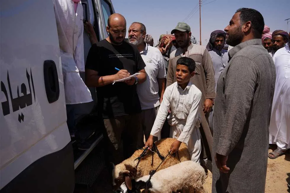 قافلة بيطرية في مطروح تفحص 450 رأس من الأغنام وتعالج أكثر من 4000 حالة في السلوم قافلة بيطرية في مطروح تفحص 450 رأس من الأغنام وتعالج أكثر من 4000 حالة في السلوم
