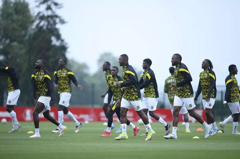 قبل الانتقال إلى الأهلي.. ديانج “الزعيم” يقود منتخب مالي ضد الكونغو الديمقراطية قبل الانتقال إلى الأهلي.. ديانج “الزعيم” يقود منتخب مالي ضد الكونغو الديمقراطية