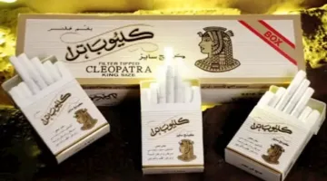 قبل الزيادة المرتقبة.. ارتفاع 10 جنيهات في سعر علبة السجائر في الأسواق