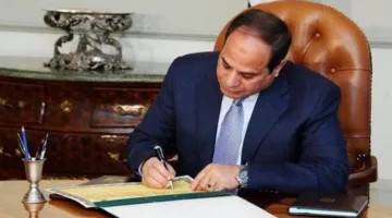 قرار رئاسي بتخصيص أرض في البحر الأحمر لصالح وزارة المالية