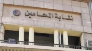 قرارات هامة من “نقابة المحامين” حول مشكلة الرسوم القضائية