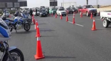 قصور الثقافة تبدأ الفعالية الثانية من برنامج “التحسين البيئي” لدعم قضايا المناخ
