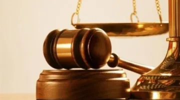 قضايا التهرب الضريبي: ضبط 321 حالة من الضرائب والرسوم