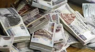 استجواب أربعة أفراد متورطين في محاولة غسيل 50 مليون جنيه ناتجة عن تجارة المخدرات.