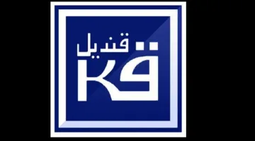 «قنديل للتجارة والصناعة» تستثمر 4 مليارات جنيه حتى نهاية 2025