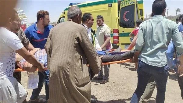 كارثة ت震 مصر.. مقتل 14 فرداً، من بينهم أطفال، في حادث مأساوي بالمنوفية كارثة ت震 مصر.. مقتل 14 فرداً، من بينهم أطفال، في حادث مأساوي بالمنوفية
