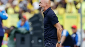 كاردوزو يكشف عن سر انتصار صن داونز على أولسان في بطولة كأس العالم للأندية