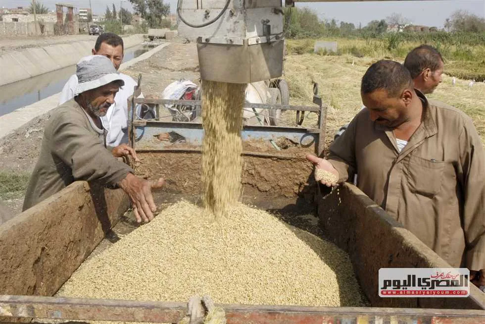 كم يبلغ سعر طن الشعير؟ تحديث لأسعار الأرز في أسواق الشرقية اليوم الإثنين 16 يونيو 2025 كم يبلغ سعر طن الشعير؟ تحديث لأسعار الأرز في أسواق الشرقية اليوم الإثنين 16 يونيو 2025