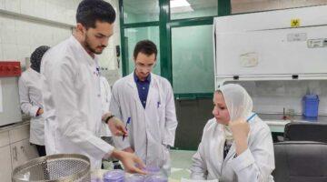 لأغراض التصدير.. وزارة الزراعة تختبر عينات من 1.3 مليون طن من «بطاطس المائدة» (التفاصيل)