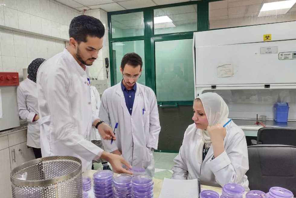 لأغراض التصدير.. وزارة الزراعة تختبر عينات من 1.3 مليون طن من «بطاطس المائدة» (التفاصيل) لأغراض التصدير.. وزارة الزراعة تختبر عينات من 1.3 مليون طن من «بطاطس المائدة» (التفاصيل)