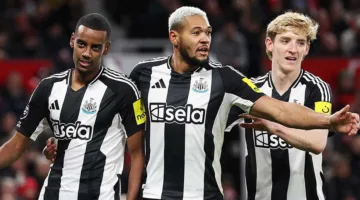 لا توجد عروض من الدوري السعودي للاعب نيوكاسل