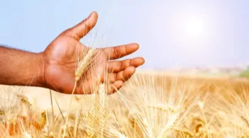 لا يمكن تصديقها.. دولة واحدة في العالم تستطيع إطعام سكانها بالاكتفاء الذاتي.