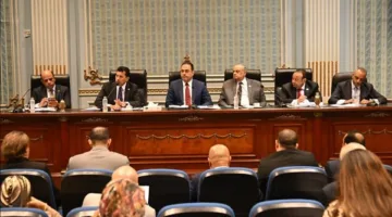 «لجنة الشباب بالنواب» توافق على إنشاء شركات خدمات رياضية وفقًا لقانون الشركات المساهمة