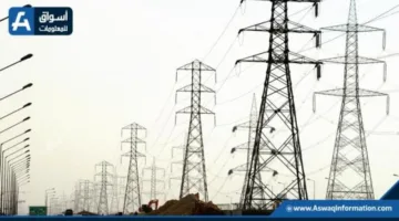 للحفاظ على الأحمال: شركة الإسكندرية للتوزيع تطلق حملة توعية لترشيد استهلاك الكهرباء