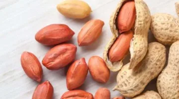 ما الذي يجري لجسمك عند تناول الفول السوداني؟… فوائد رائعة وأضرار محتملة