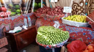 ما هو تأثير أزمة الغاز والتوترات الجيوسياسية على الأسواق وسلاسل الإمداد؟.. الغرف التجارية تشرح ذلك.