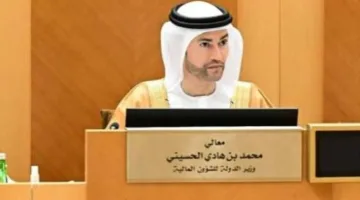ماذا كانت مصادر إيرادات الحكومة الاتحادية في الإمارات لعام 2024؟