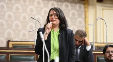 مارسيل سمير: المشروع الأكثر أهمية لثورة 30 يونيو