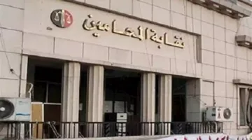 متى يتعذر على المحامي ممارسة المهنة؟ القانون يوضح الإجابة.