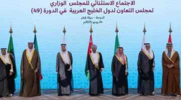 مجلس التعاون الخليجي: نؤكد تضامننا مع قطر ونشدد على أهمية الأمن البحري والجوي.