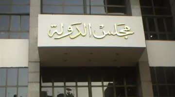 مجلس الدولة: ينبغي أن تكون العقوبة متناسبة مع الجريمة دون تضخيم أو تقليل.
