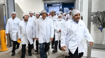 مجلس الوزراء: استثمارات شركة بيتي في مصر تتجاوز 6 مليارات جنيه